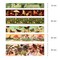 Wrapables Nature Metallic Foil Washi Tape Set for Scrapbooking, Stationery, Diary, Card Making